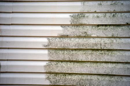 The Many Benefits of Professional Soft Washing